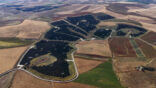 AMAZON, PARCO SOLARE MONREALE-GIBELLINA