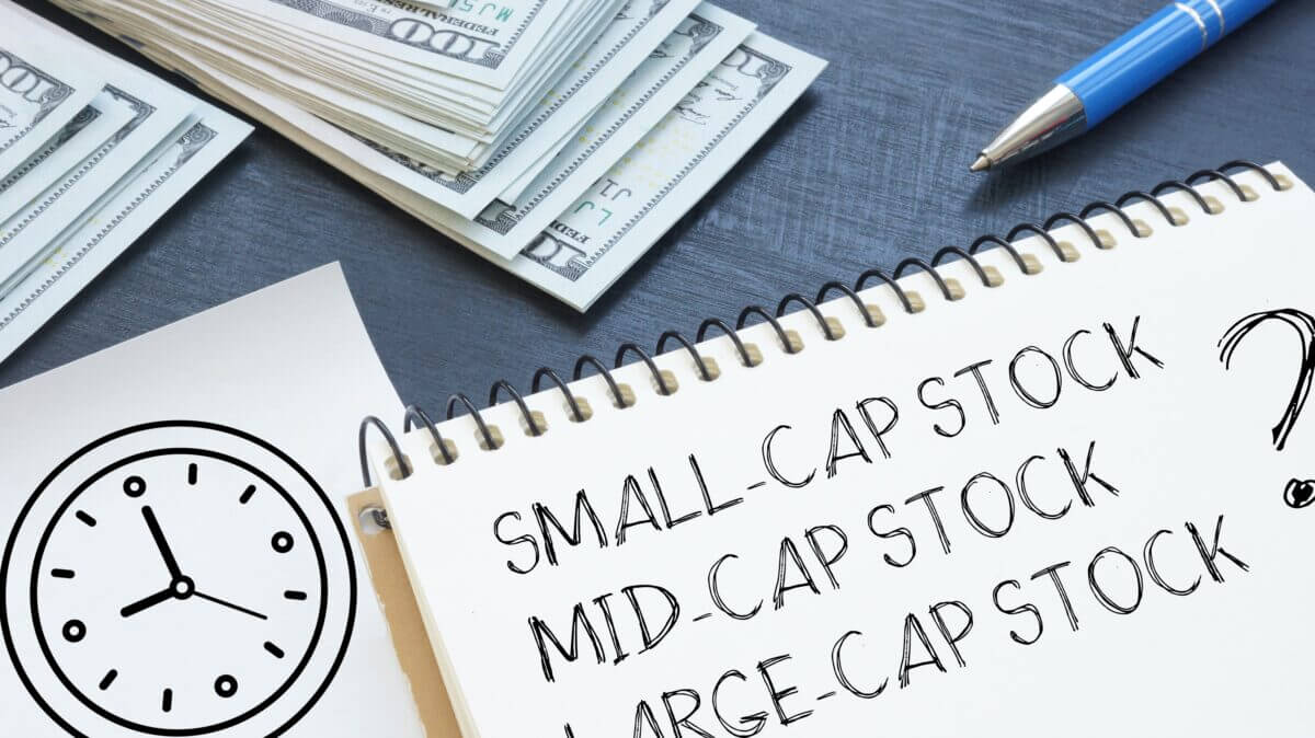Small mid-cap esg