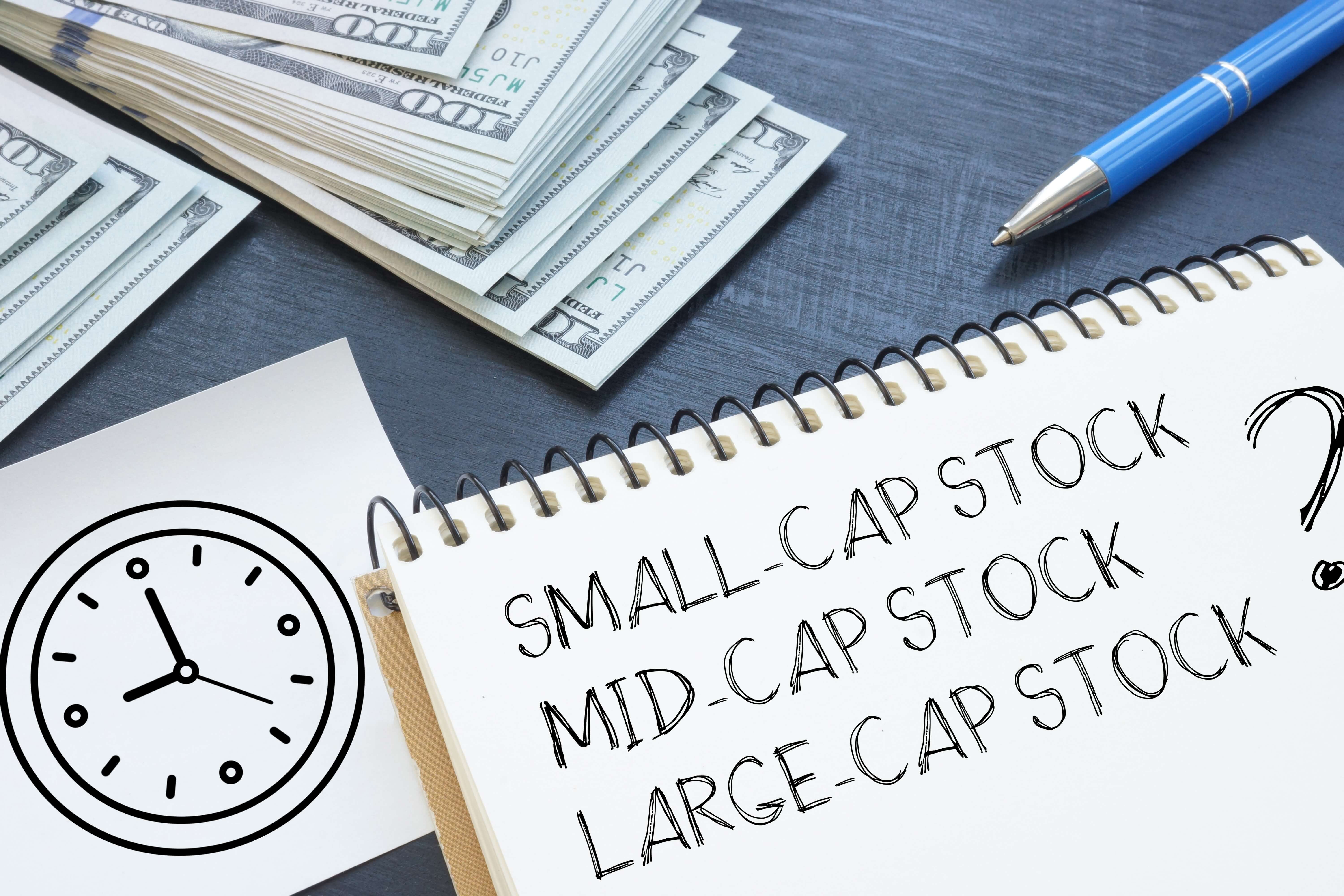 Small mid-cap esg