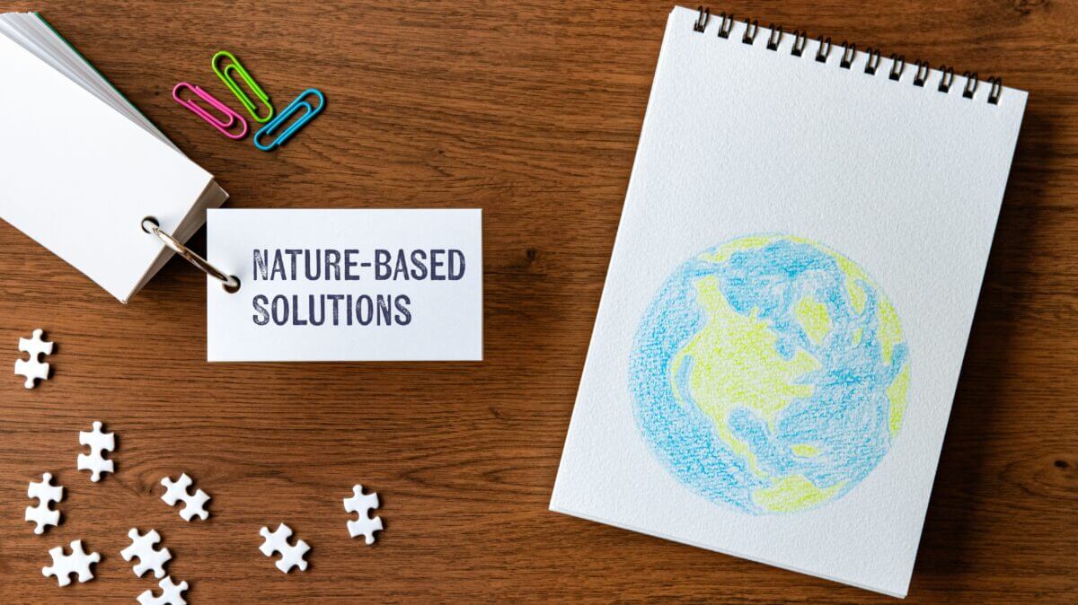 nature based solutions NBS e Sustainable Drainage Systems SuDS water