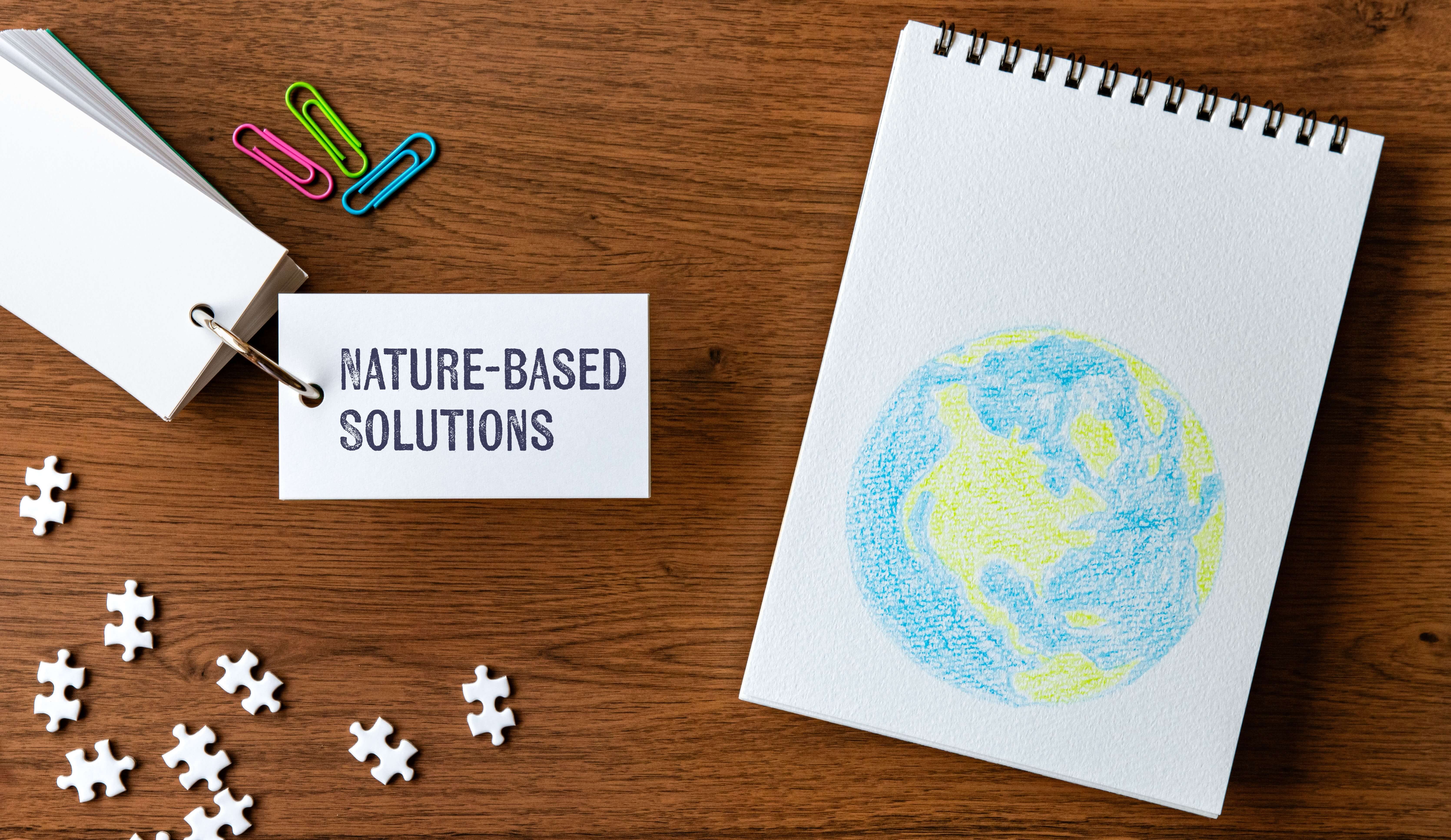 nature based solutions NBS e Sustainable Drainage Systems SuDS water