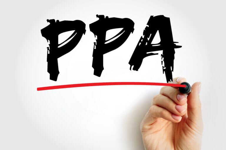 PPA rischi opportunità