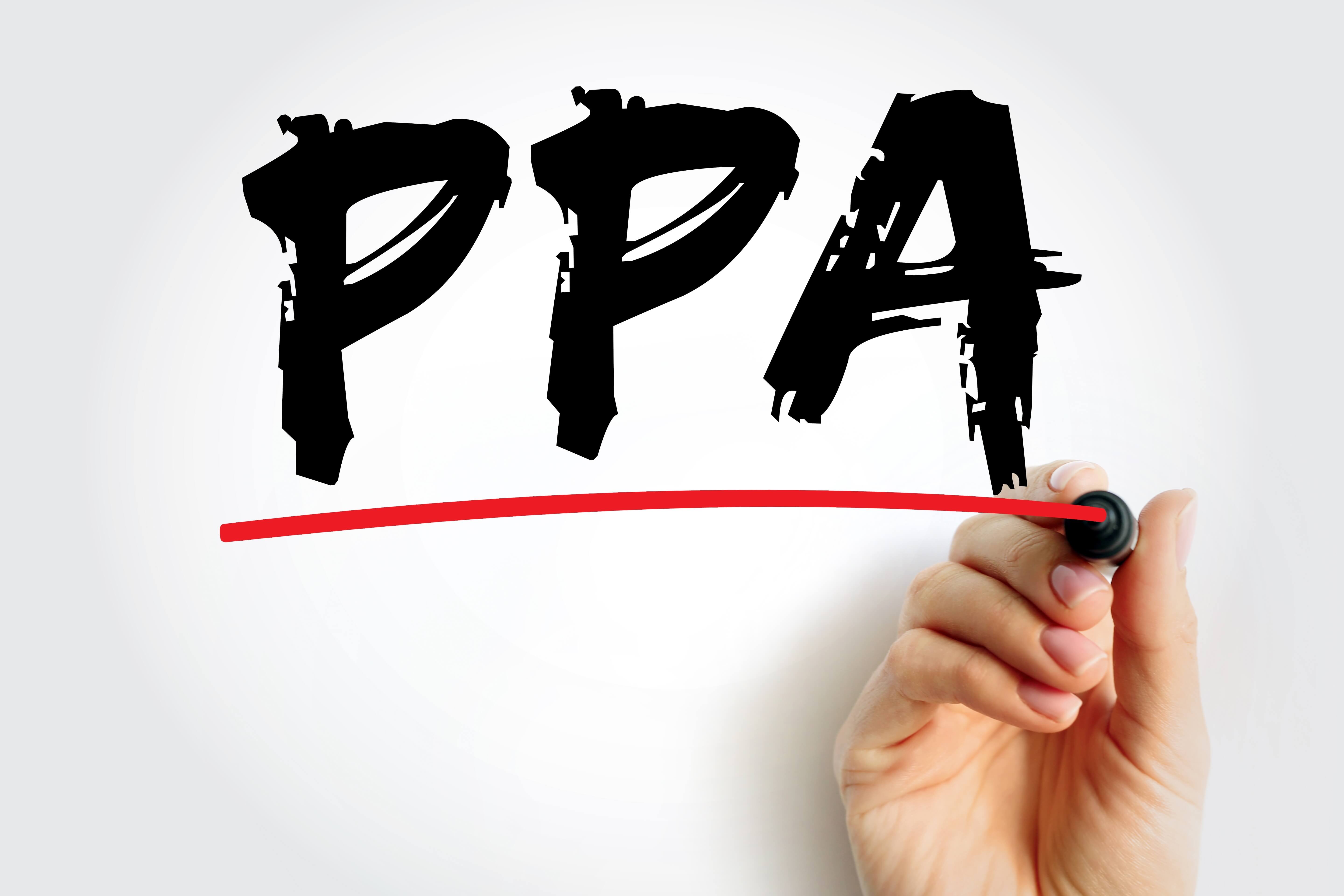 PPA rischi opportunità