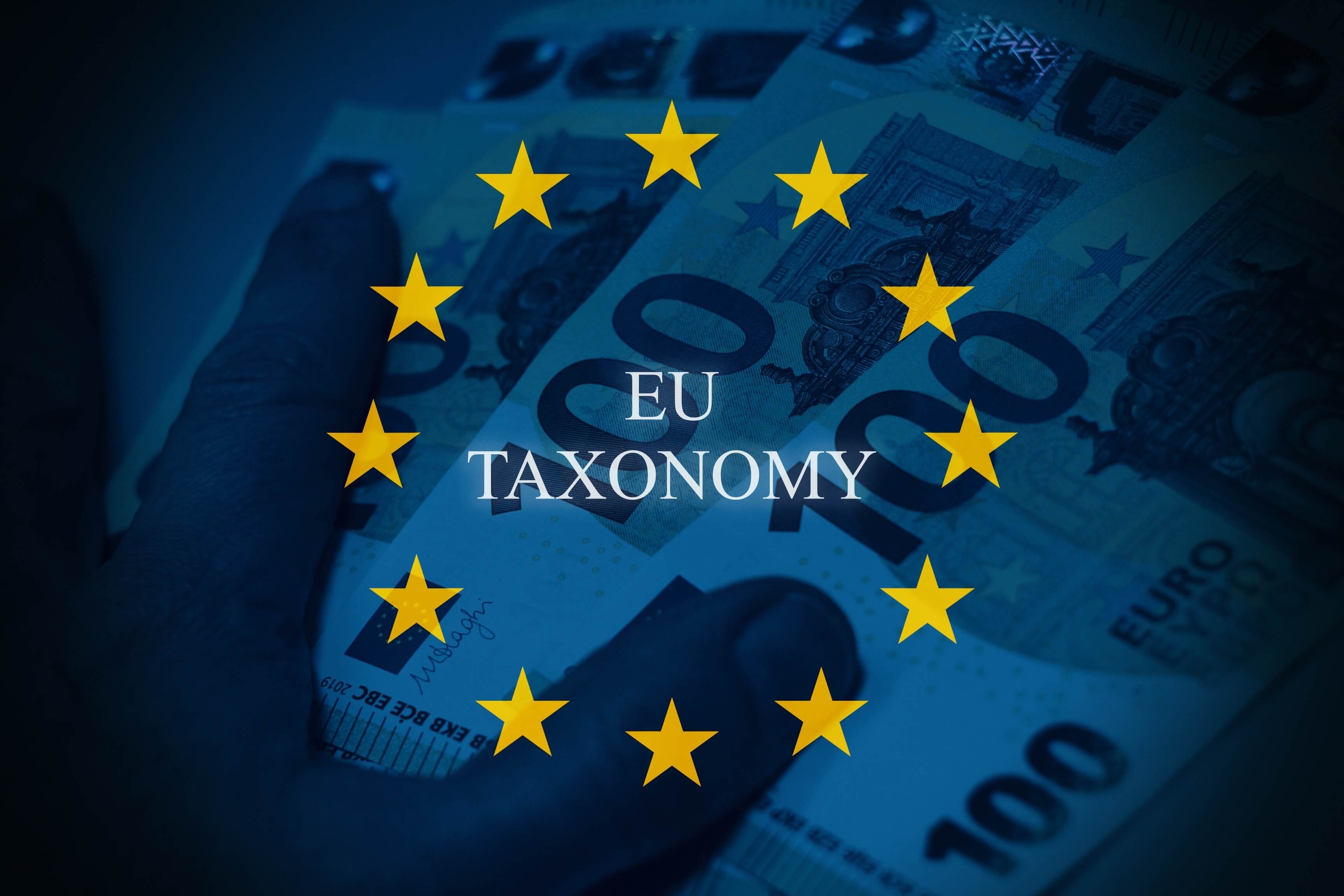 Euro,Bills,With,Eu,Flag,Overlay,And,eu,Taxonomy,Lettering.