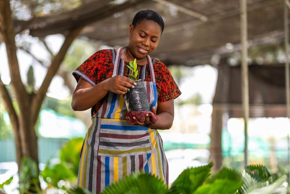 African,Woman,Successful,Small,Business,Owner,Into,Horticulture,Taking,Care