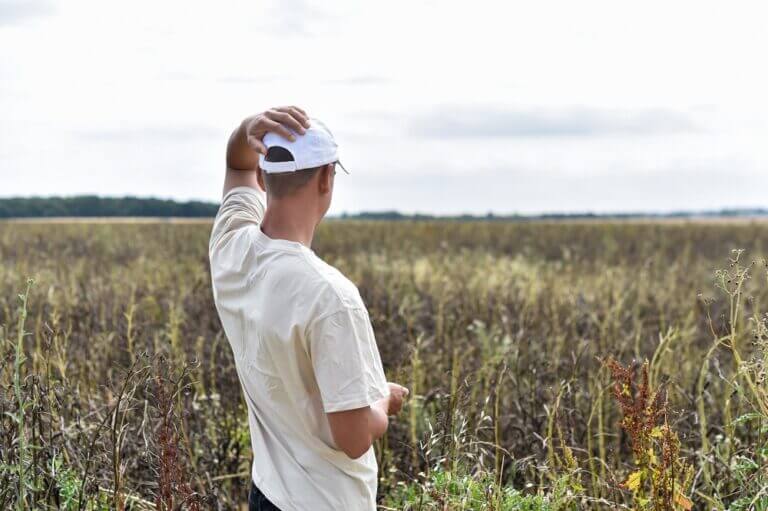 A,Person,Stands,In,A,Severely,Withered,Bean,Field,In