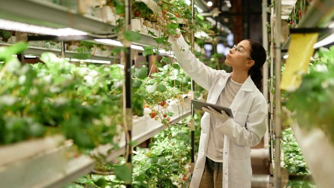 Foodtech Incubator