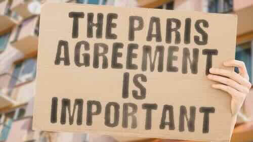 Cosa dice e perché è importante l'Articolo 6.2 dell'Accordo sul Clima di Parigi. L'impatto su carbon removal e carbon credit