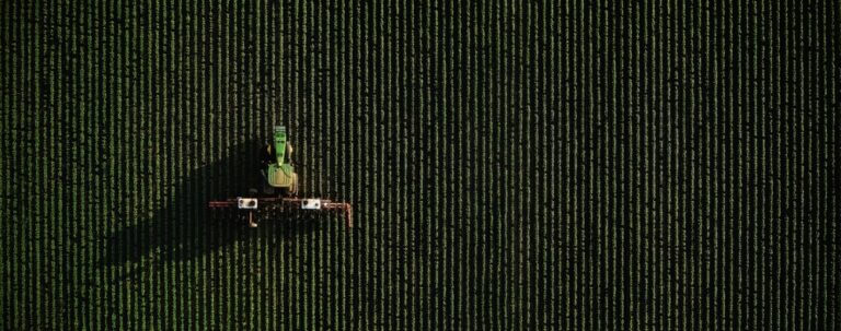 Come trasformare i dati agricoli in decisioni con l'AI